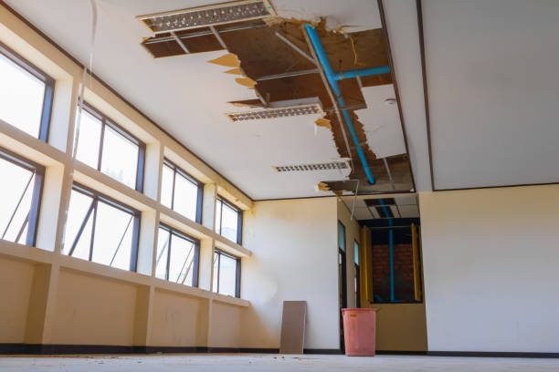 Best Flooded house restoration  in Ogden, KS