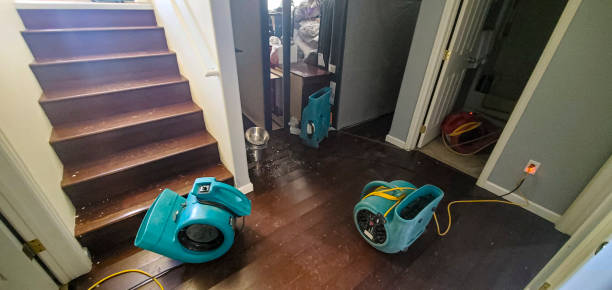 Water damage restoration experts in Ogden, KS