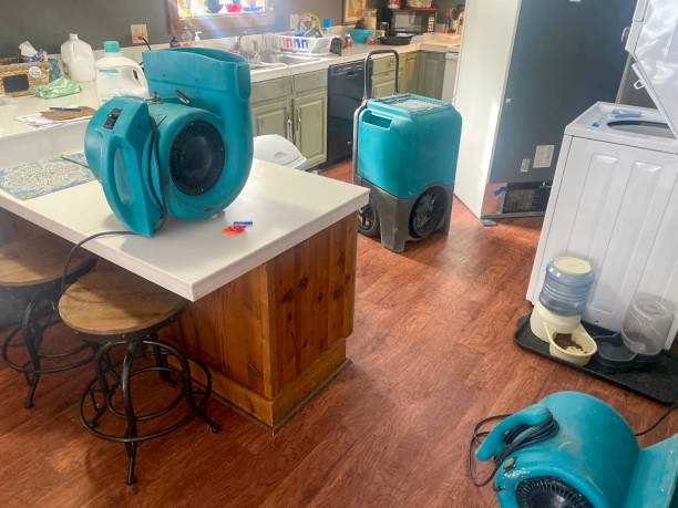 Best Carpet water damage restoration  in Ogden, KS