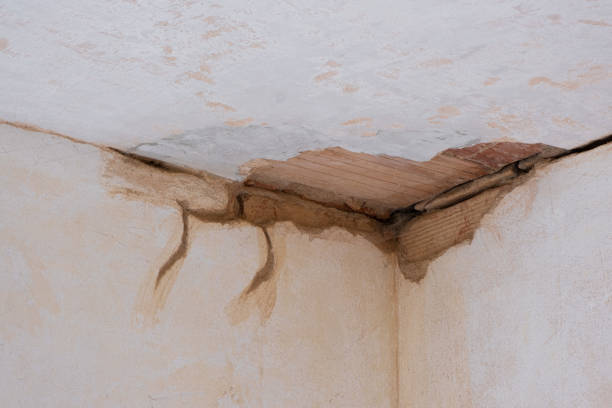 Water damage restoration insurance claims in Ogden, KS