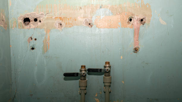 Best Carpet water damage restoration  in Ogden, KS