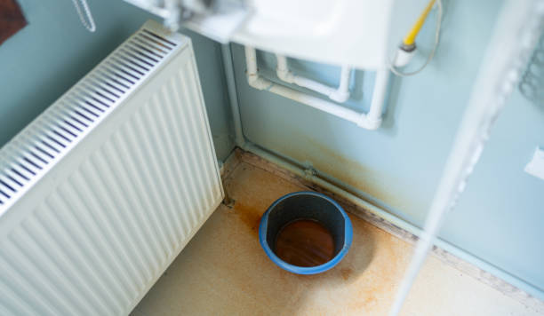 Best Flood restoration services  in Ogden, KS