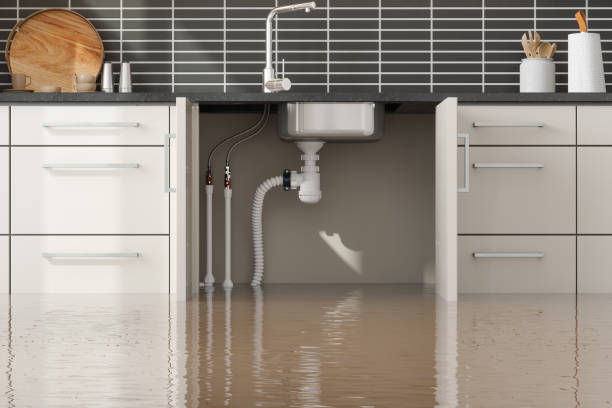Best Basement water damage restoration  in Ogden, KS