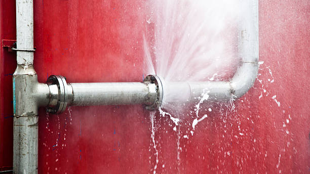 Best Flood damage cleanup  in Ogden, KS